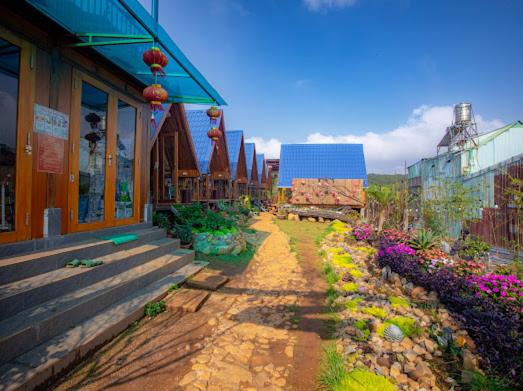 Homestay Wooden House Măng Đen, Kon Tum (giá cập nhật 2025)