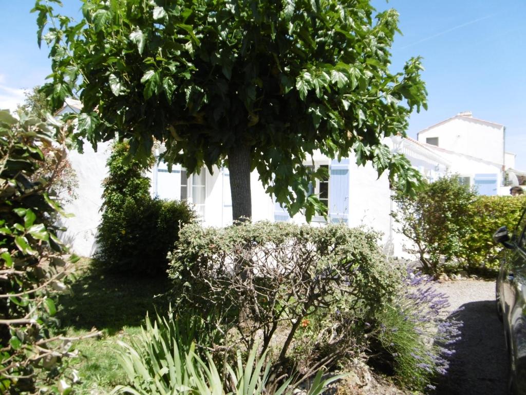 un arbre devant une maison blanche avec des buissons dans l'établissement Maison confortable à La Guérinière, proche plage, animaux admis - FR-1-823-4, à La Guérinière
