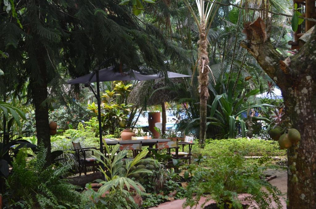 Zahrada ubytování Amanwana Ecofinca