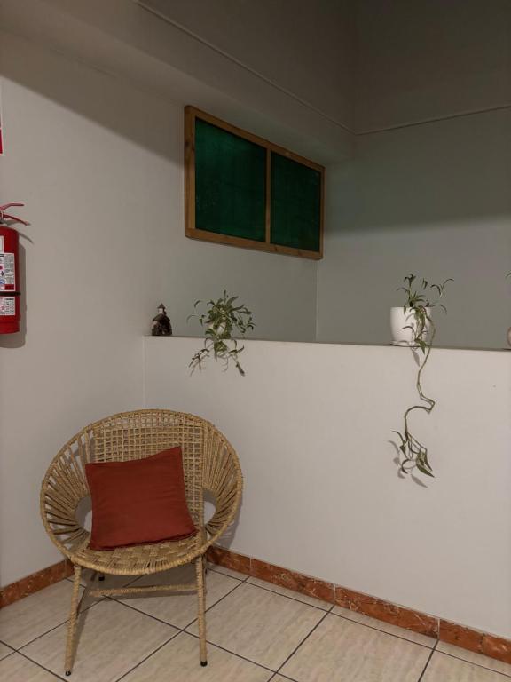 Fotografie z fotogalerie ubytování Hospedaje el Telar v destinaci Nazca