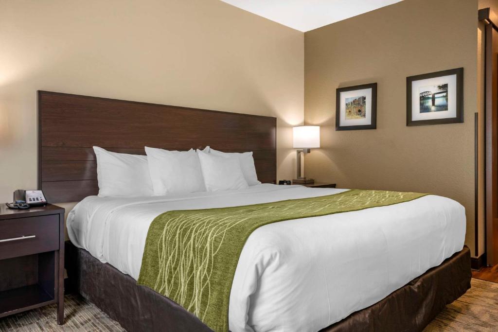 Postel nebo postele na pokoji v ubytování Comfort Inn