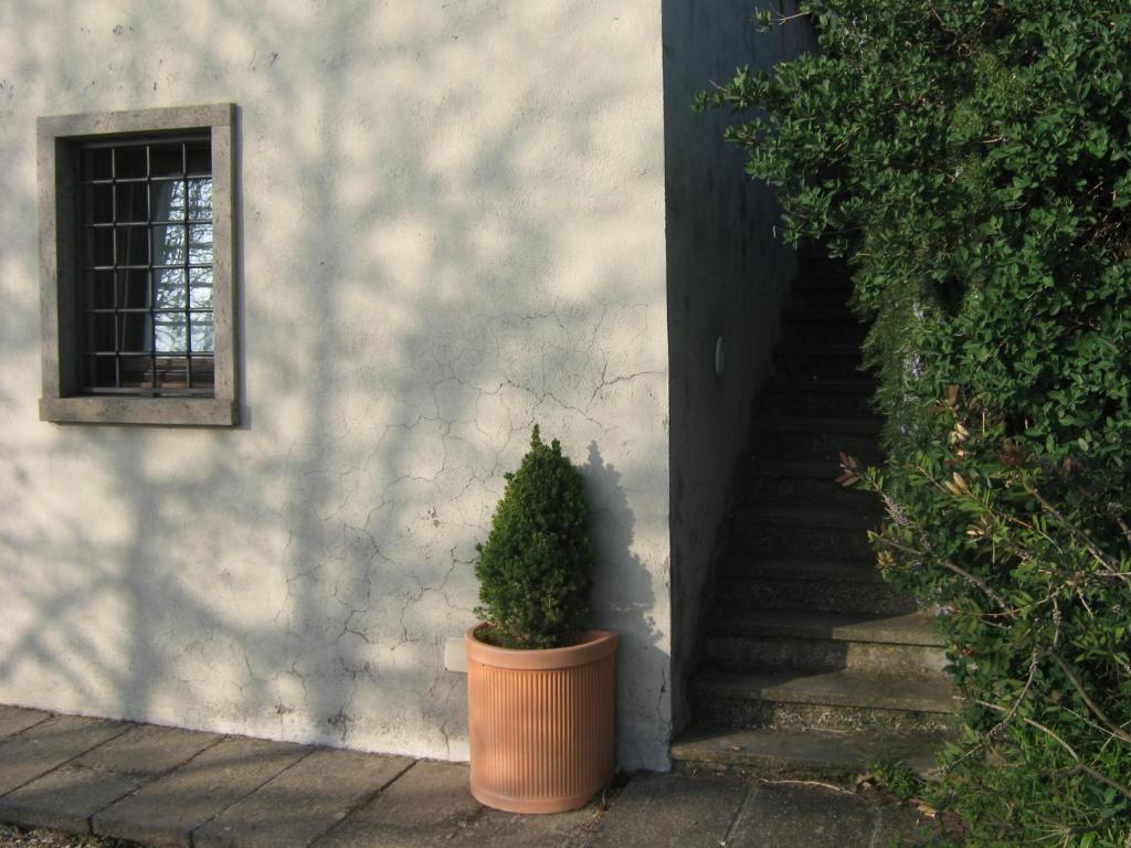 Kép La Villa di Lucia szállásáról Viterbóban a galériában