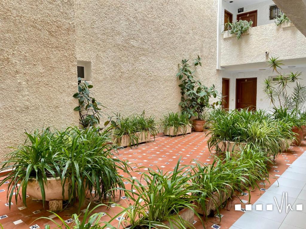 Zahrada ubytování VH CostaBlanca - APARTAMENTO MILOS