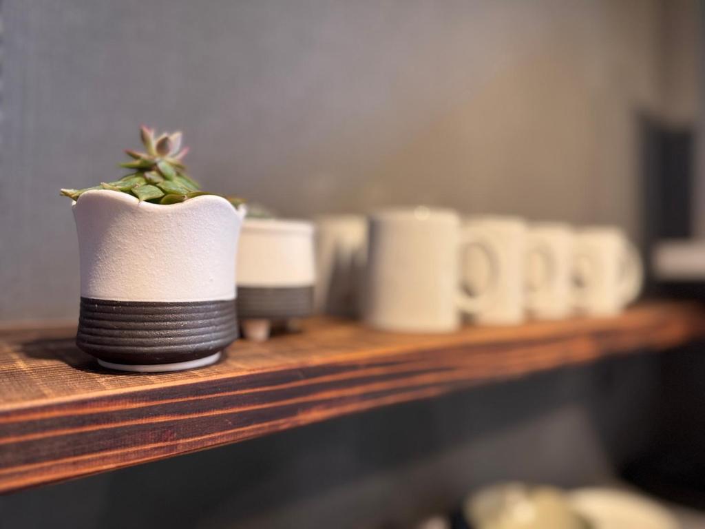 a shelf with a plant in a pot on it at 最大8人利用完全貸切 広々テラス露天風呂付 ポーラ美術館徒歩5分 in Hakone