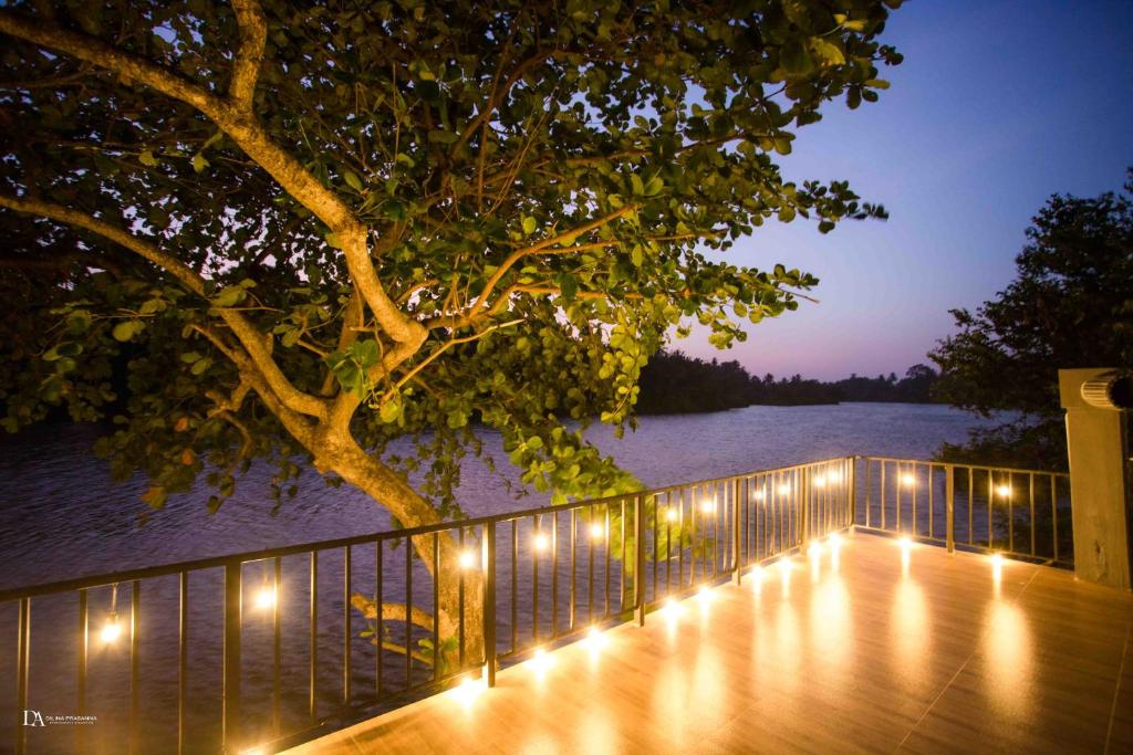 a deck with lights and a tree and water at Rivera Maha Oya in Wayikkal