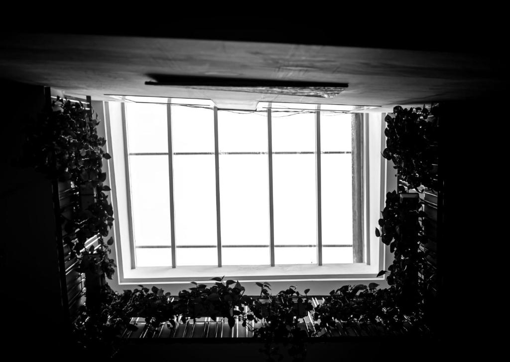 Hotel Palacio Alcázar - Resim 26