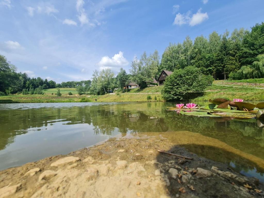 a view of a river with flowers in the water at Domek El Coyote z wędkowaniem in Hoczew