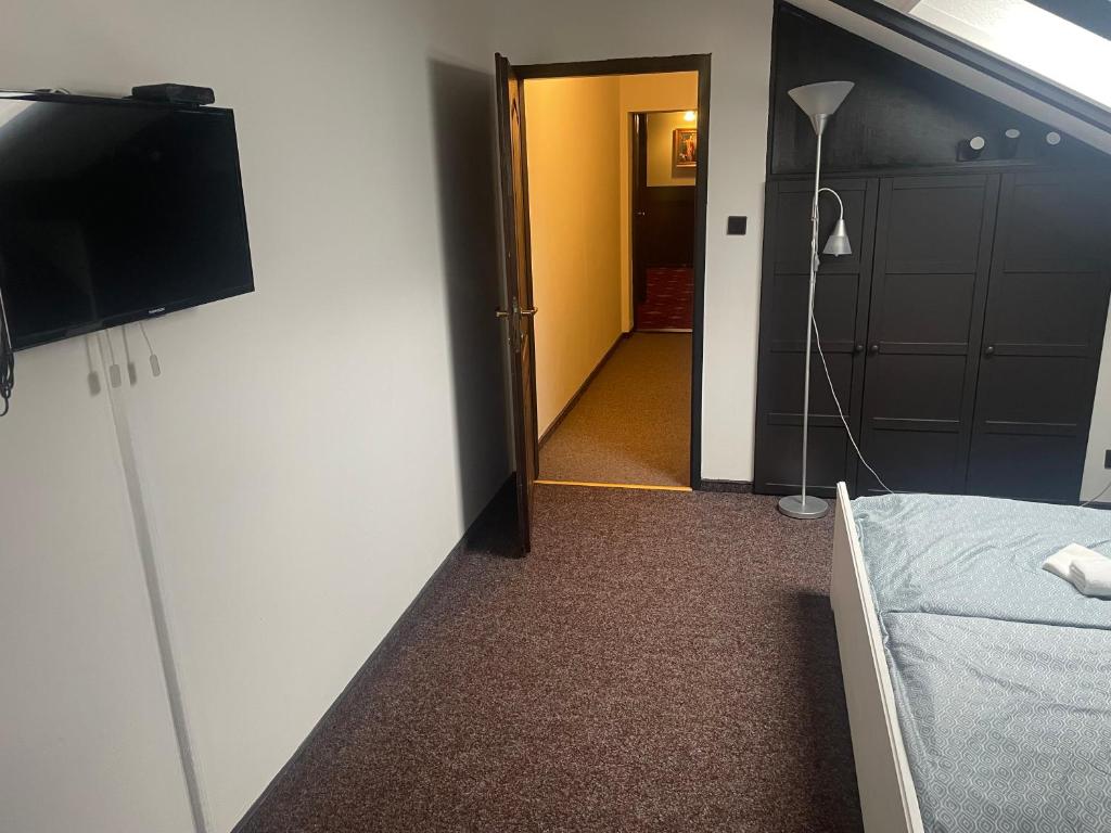 TV a/nebo společenská místnost v ubytování Hotel Lovecký zámeček Orion