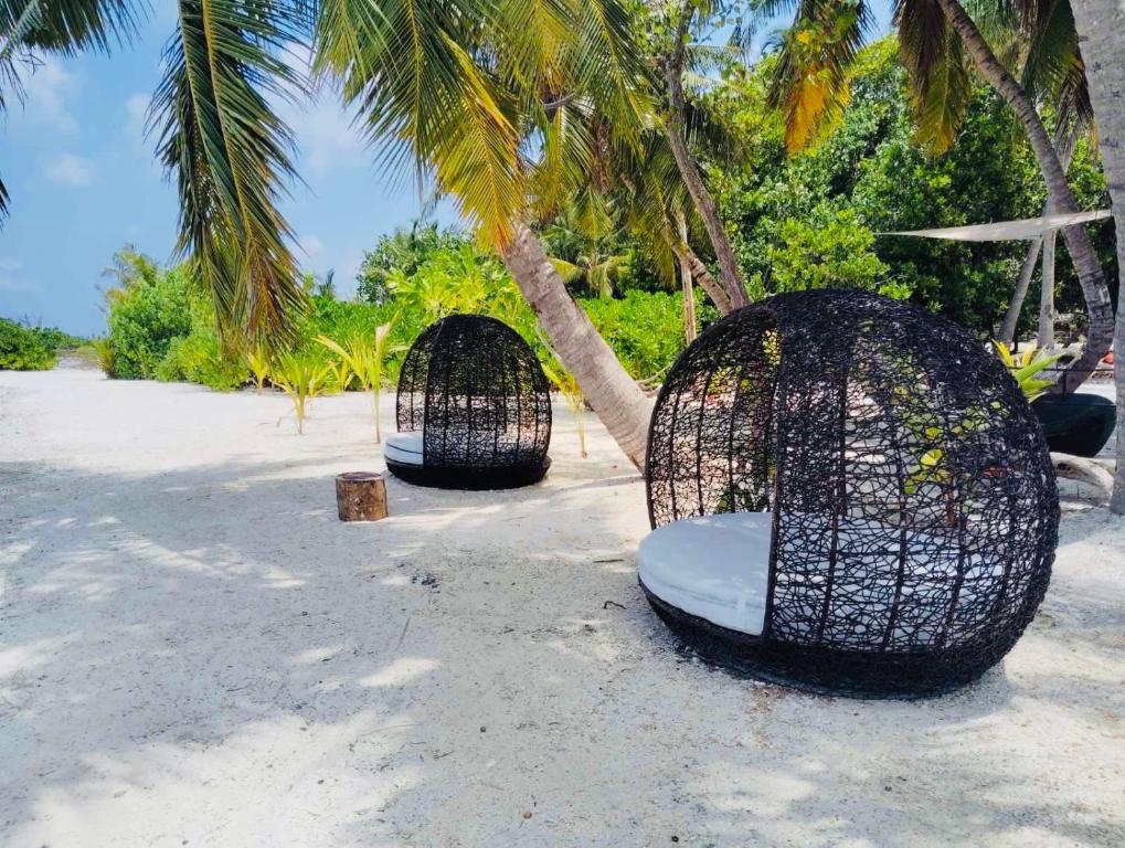 Rattehi Inn at Rakeedhoo - View 29