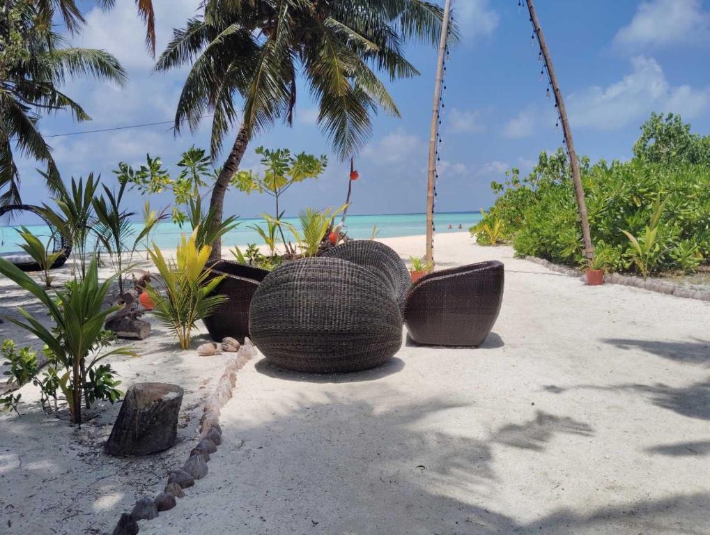 Rattehi Inn at Rakeedhoo - View 28