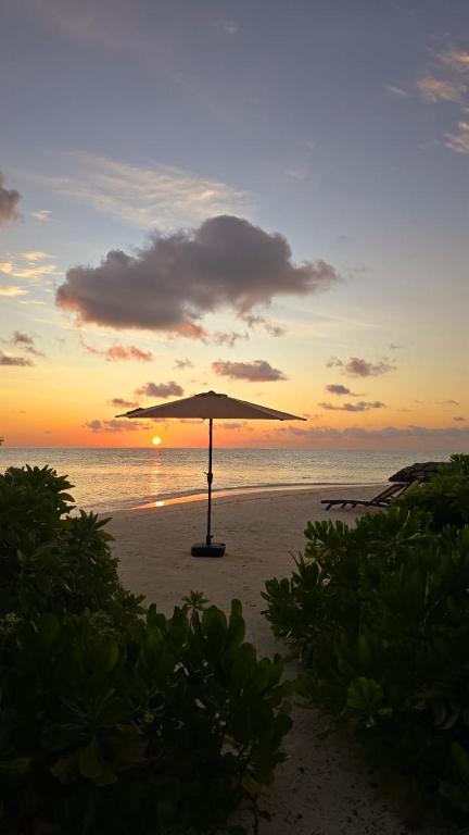 Rattehi Inn at Rakeedhoo - View 23
