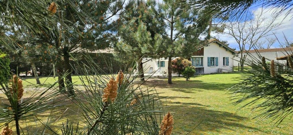 En have udenfor Brimborion