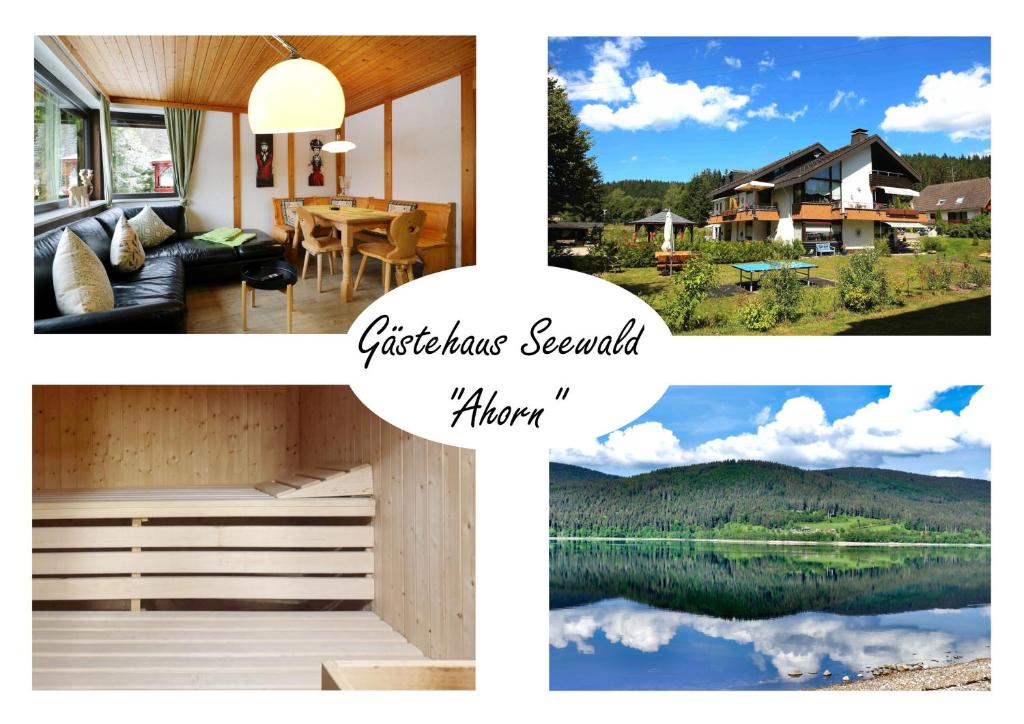 un collage de photos d'une maison et d'un lac dans l'établissement Gästehaus Seewald- Ferienwohnung 1 "Ahorn", Schluchsee, Blasiwald, à Schluchsee