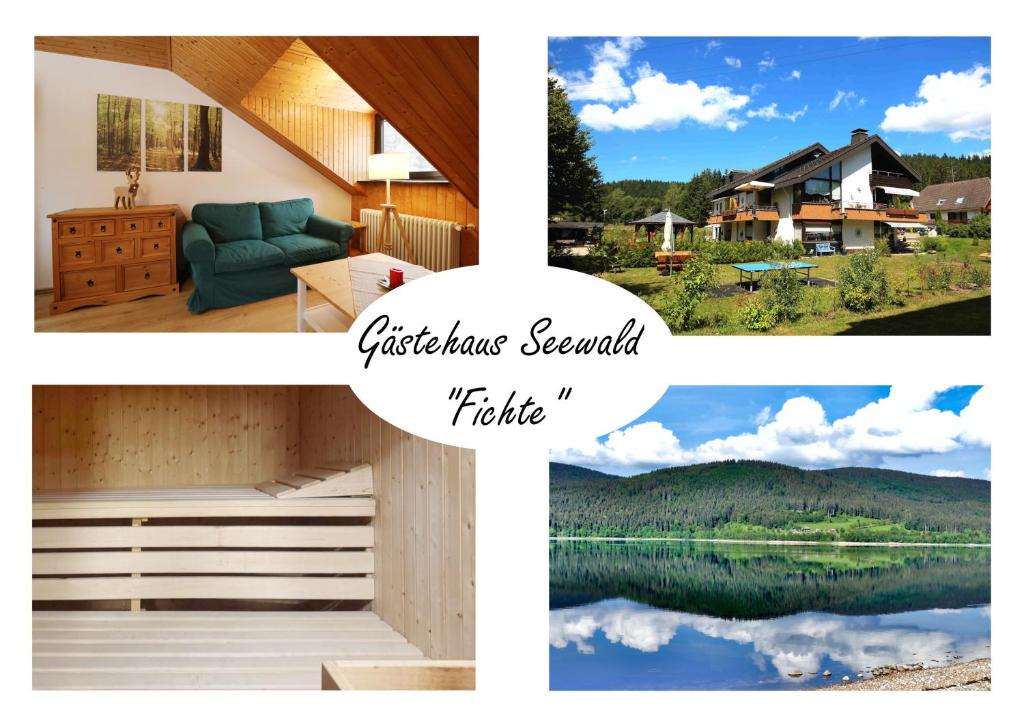 un collage de photos avec une maison et un lac dans l'établissement Gästehaus Seewald- Ferienwohnung 6 "Fichte", Schluchsee, Blasiwald, à Schluchsee