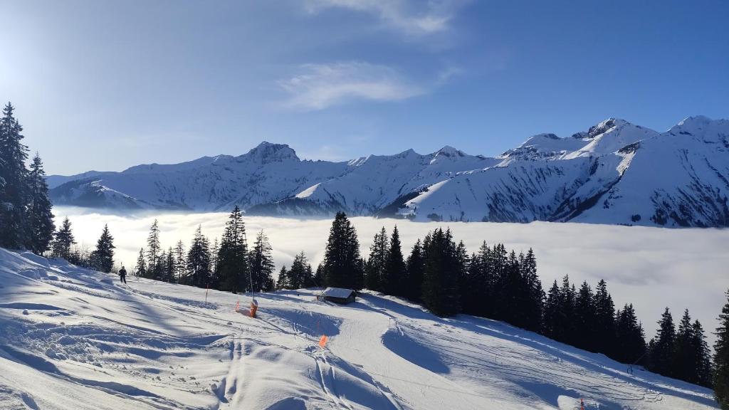 1,5 Zimmer Ferienwohnung Lindenmatte Frutigen Berner Oberland v zimě
