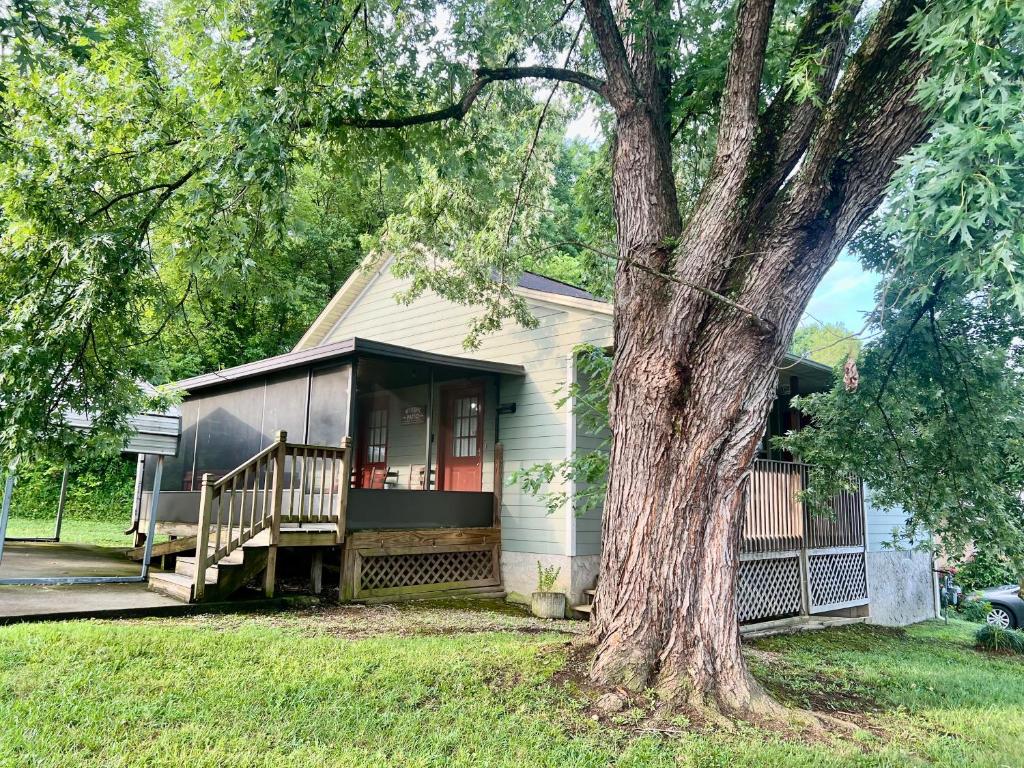 a small house with a tree in front of it at Steps away from PF parkway, pet friendly, hot tub! in Pigeon Forge