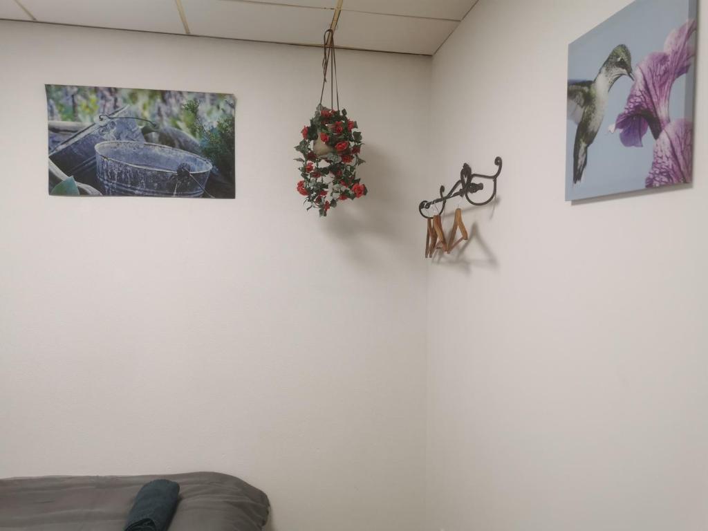 Fotografie z fotogalerie ubytování Dorpszicht Yerseke centrum v destinaci Yerseke