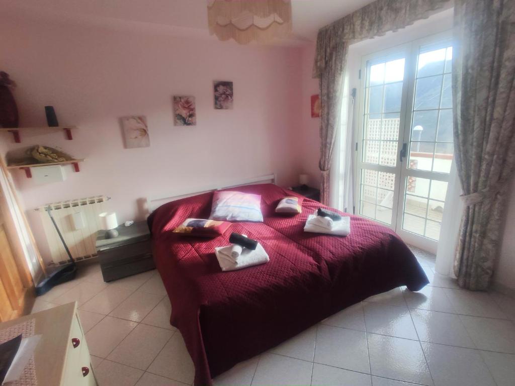 Domácí mazlíčci ubytovaní s hosty v ubytování Vicky's B&B by V