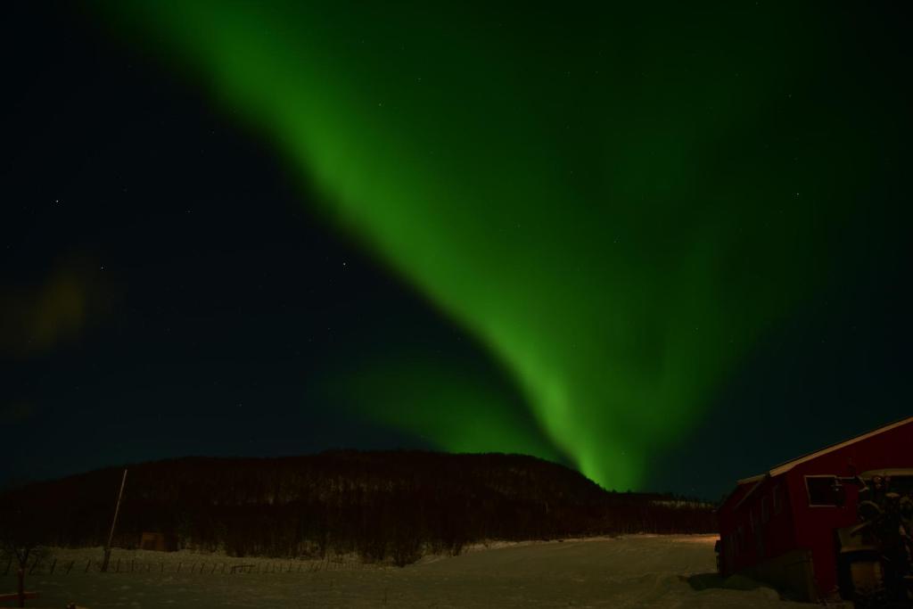 Příroda nedaleko apartmánu