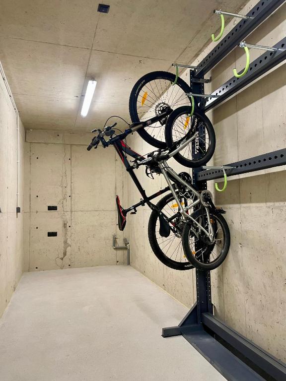 Jízda na kole v ubytování Apartmány nora nebo okolí