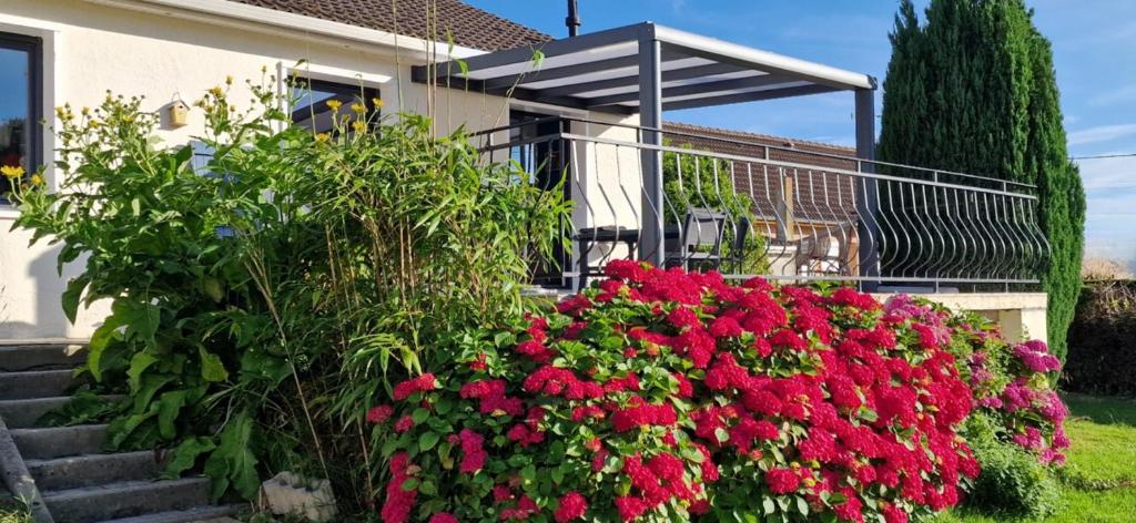 Une bande de fleurs rouges devant une maison dans l'établissement Orée des bruyères, à Ecques