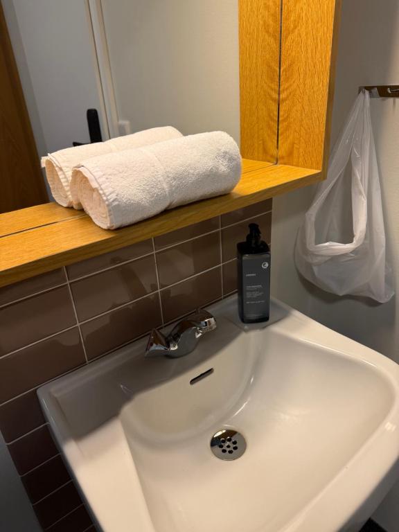 Koupelna v ubytování Skogar Hostel