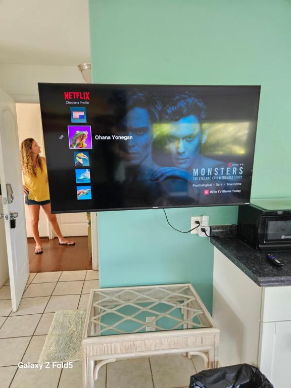 TV a/nebo společenská místnost v ubytování Yonegan Maui Getaways - Haiku