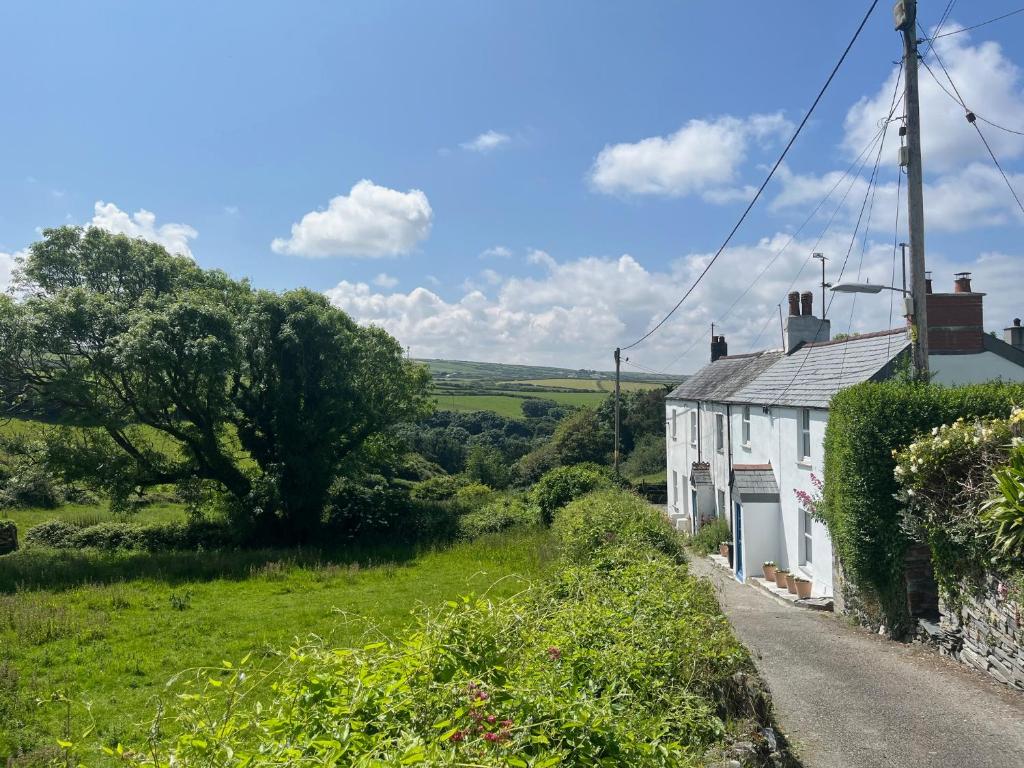 a white house on the side of a road at 1 Rock Cottages in Treknow