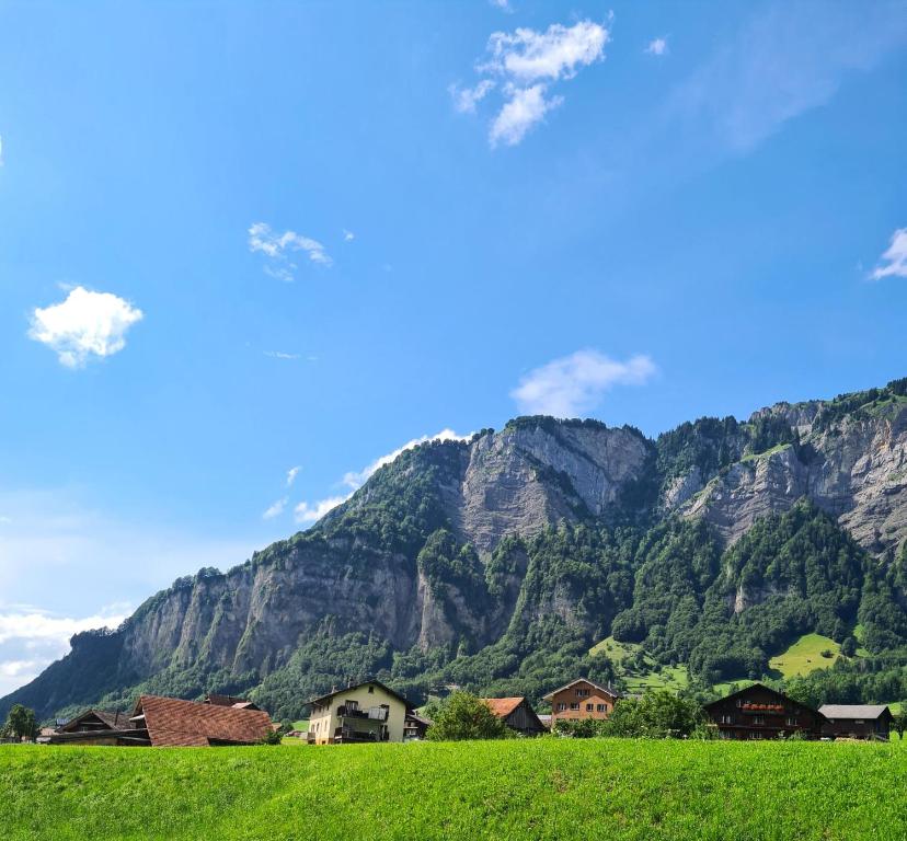 Příroda nedaleko apartmánu