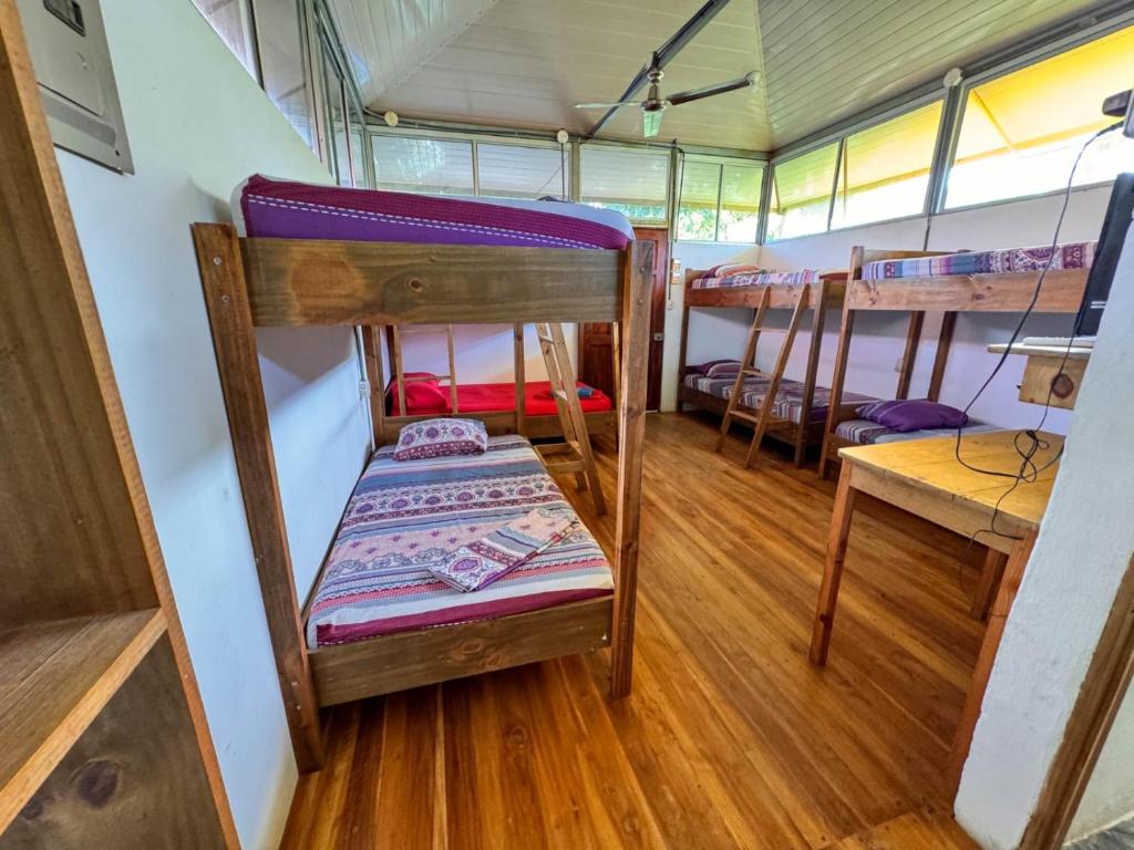 Postel nebo postele na pokoji v ubytování Hotel Delfines Puerto Jimenez