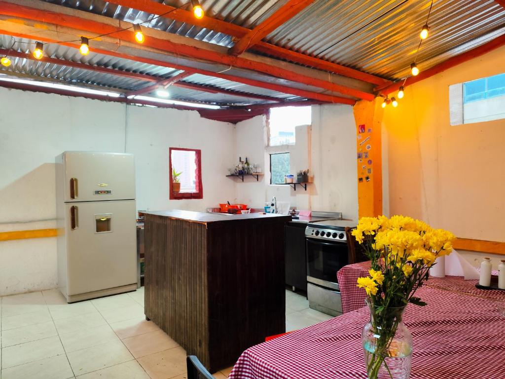 Kuchyň nebo kuchyňský kout v ubytování Mico Loco Casa Hostal