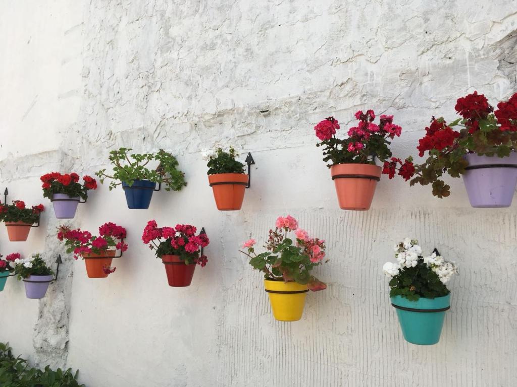 Fotografie z fotogalerie ubytování Casa Tragabalas v destinaci Cómpeta