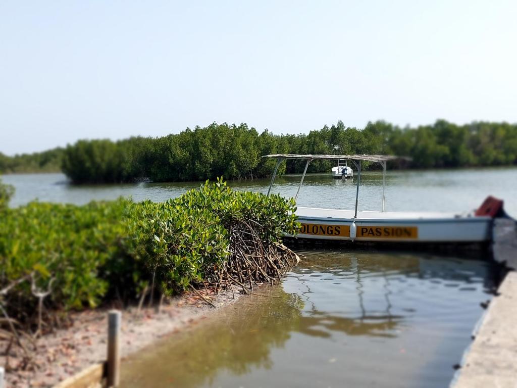 a boat sitting on the water next to a shore at Bolongs Passion in Cap Skirring