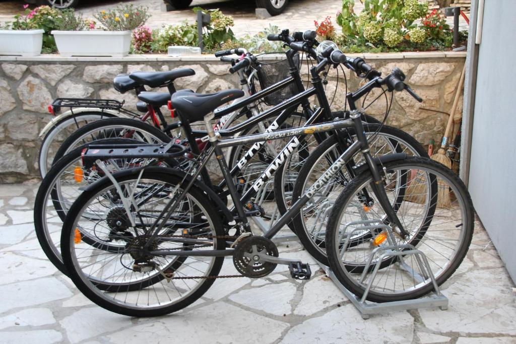 Jazda na bicykli v okolí ubytovania Studio Selce 4801a