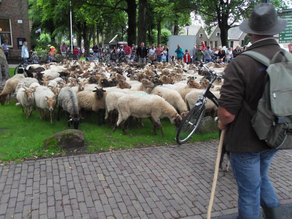 Hosté ubytování An de Esch