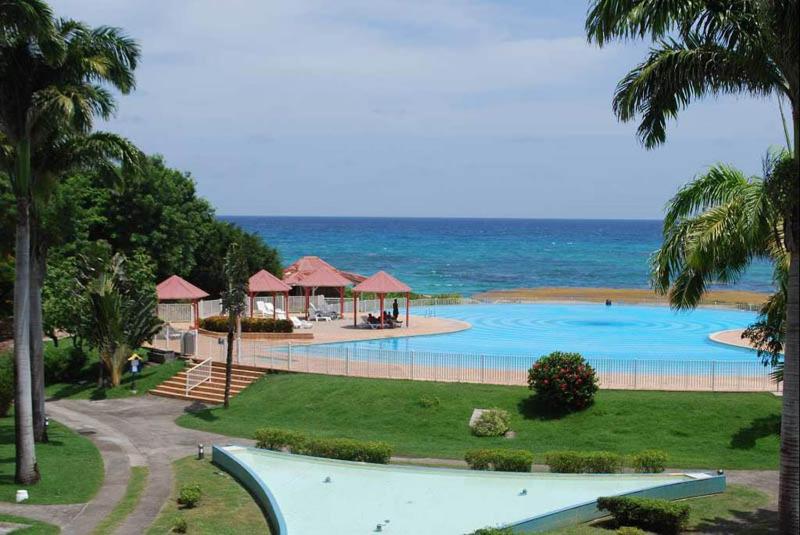 a large swimming pool with the ocean in the background at Studio Corail Rez de Jardin in Saint-François