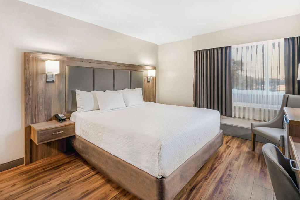 
Standard King  Room with Street View
