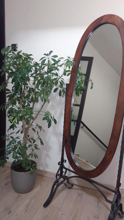 Fotografie z fotogalerie ubytování Alkistis Hotel v destinaci Portariá