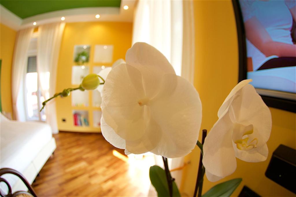 Il Giardino Segreto - 19