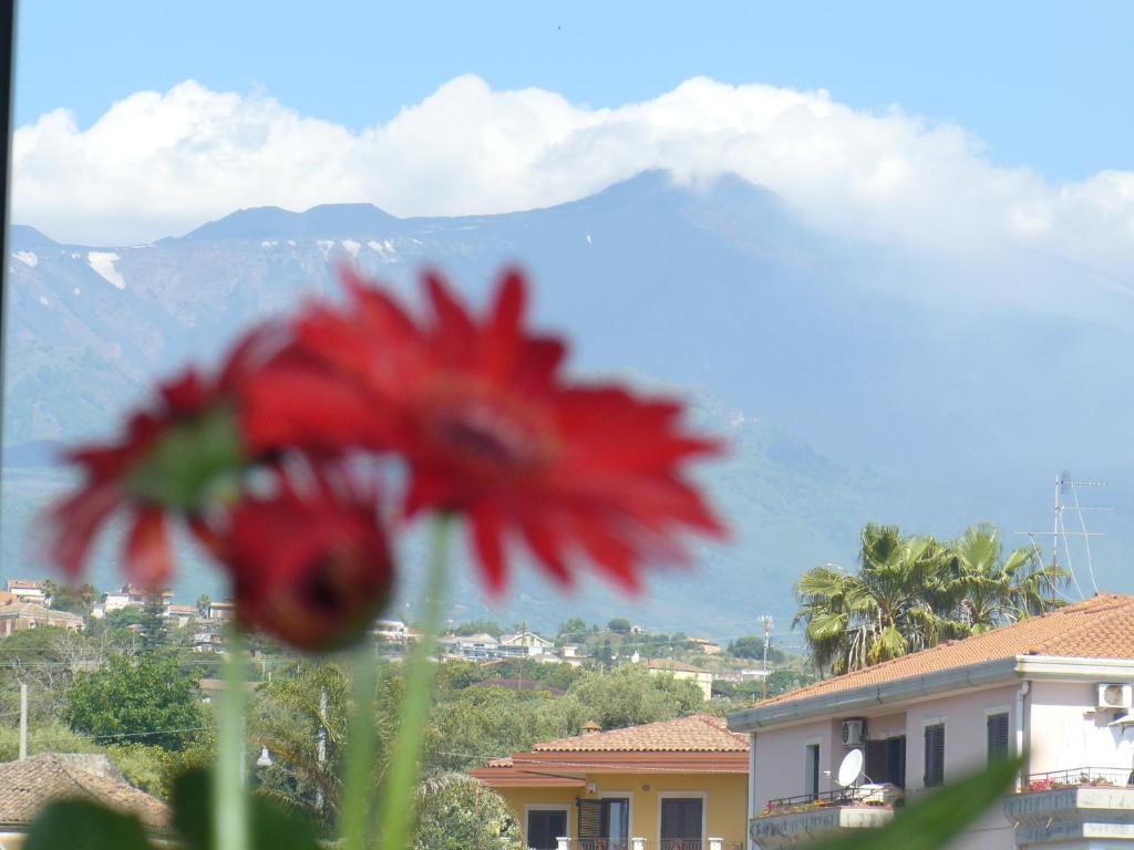 Villa Sciare Modò - 海景公寓
