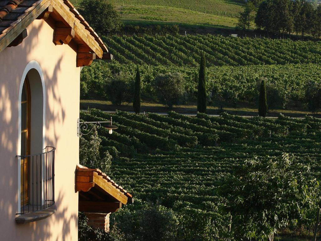 Poggio al Casone