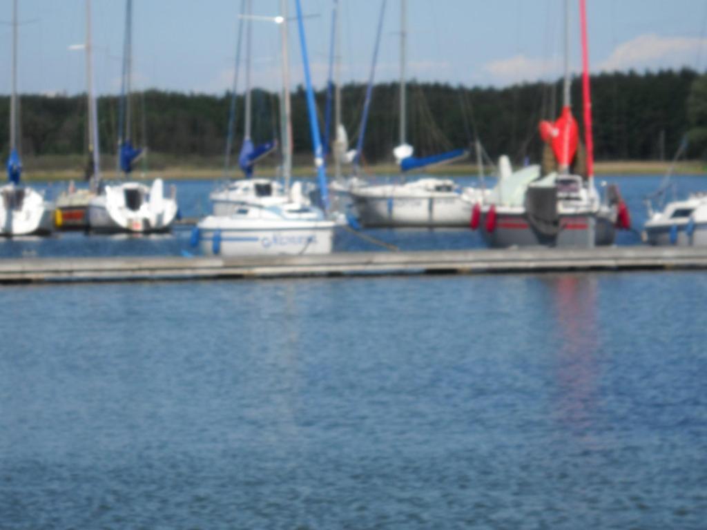 un grupo de barcos atracados en un muelle en el agua en Ośrodek Wypoczynkowo - Szkoleniowy Bogdanka, en Przybrodzin