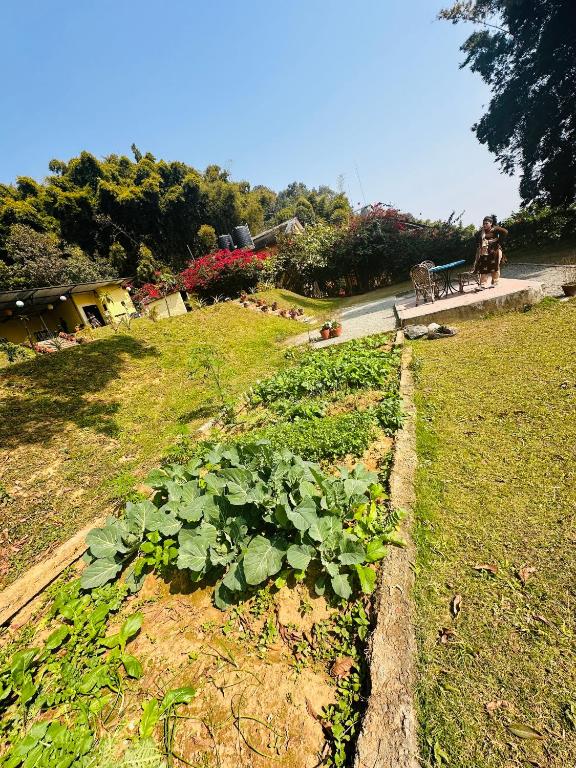 Un jardín fuera de Hotel Tourist Residency