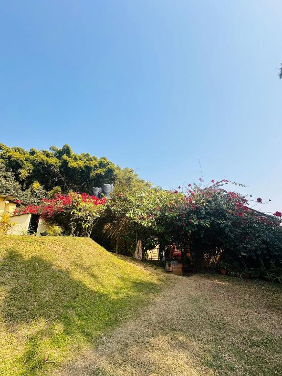 Un jardín fuera de Hotel Tourist Residency