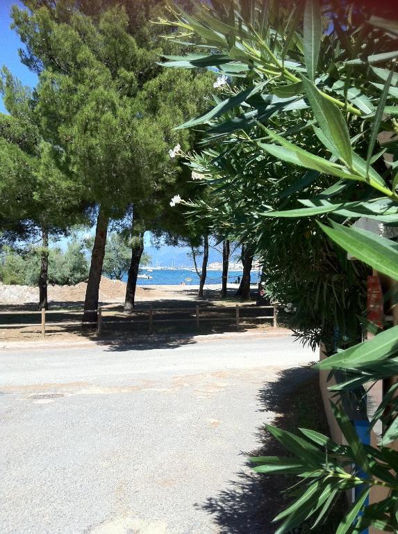 a view of a beach with trees and the ocean at Résidence Fior di Rena in Saint-Florent