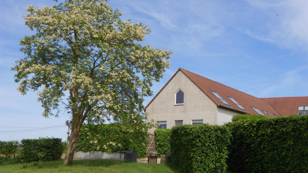 Zahrada ubytování b&b Kraaiberg
