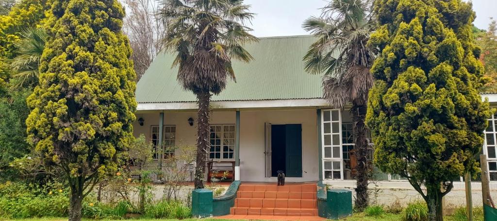 una casa con palmeras delante en The Dutch House, en Dullstroom