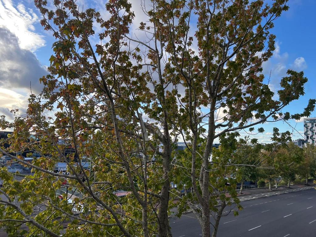 aura 2 bedrooms 1 living room balcony goodView swiming pool, gym - Resim 17