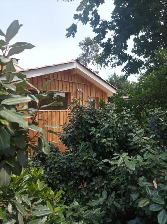 une maison en bois avec une clôture et des arbres dans l'établissement Les Bambous, à Montalivet-les-Bains