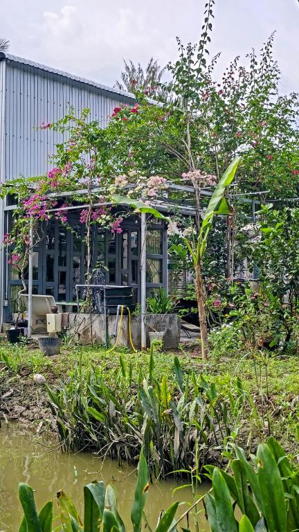 Coco Happy Farm - 14